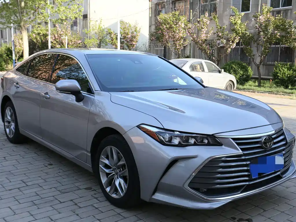 Avalon 2.0 L Progressive CN-VI
