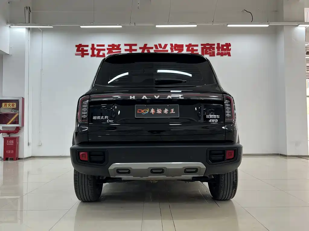 Haval Dargo 2.0 T DCT Brilliance Country Dog