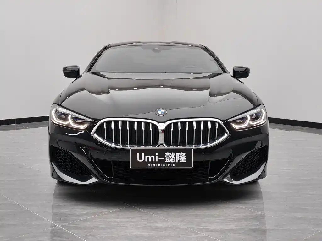 BMW 8 Series 840 i 2-door Coupe M Sport Package