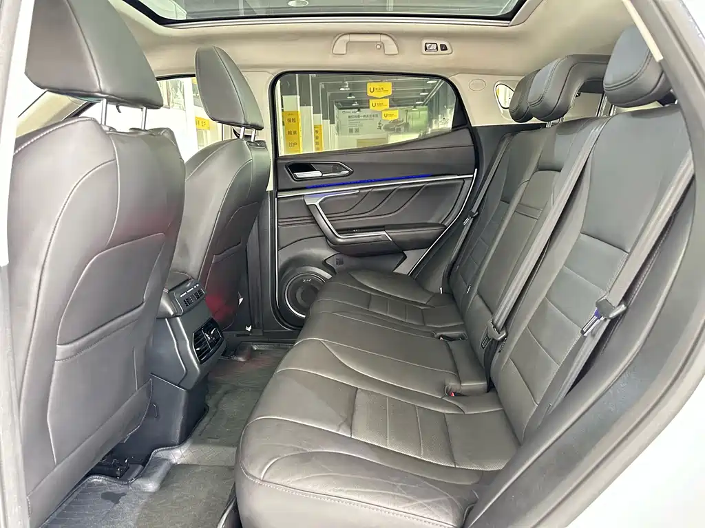 WEY VV5 2.0 T Super Luxury