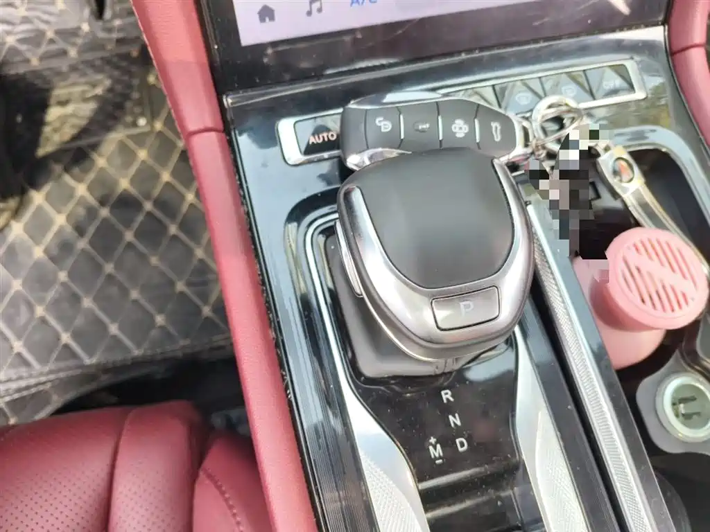 Hongqi H5 2.0 T Auto Connected Flagship