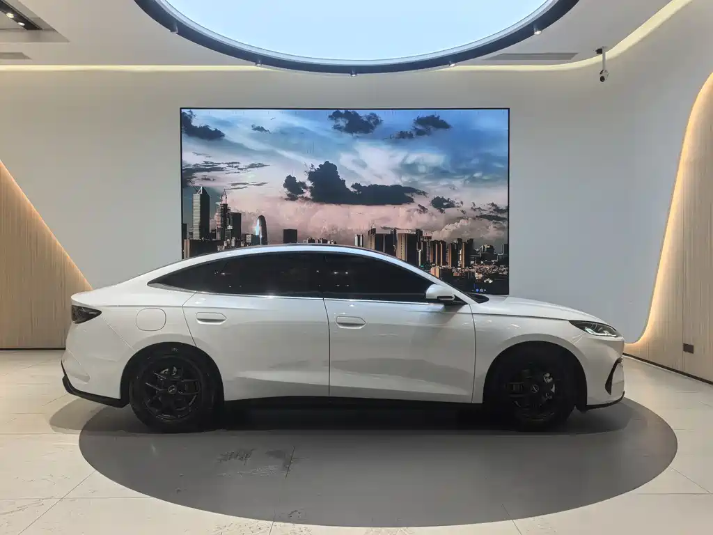 Seal 06 DM-i 80 KM Luxury