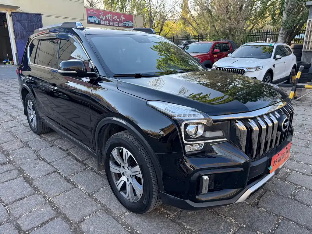 GAC Trumpchi GS8 传祺GS8 2020款 390 T 两驱豪华版（五座）