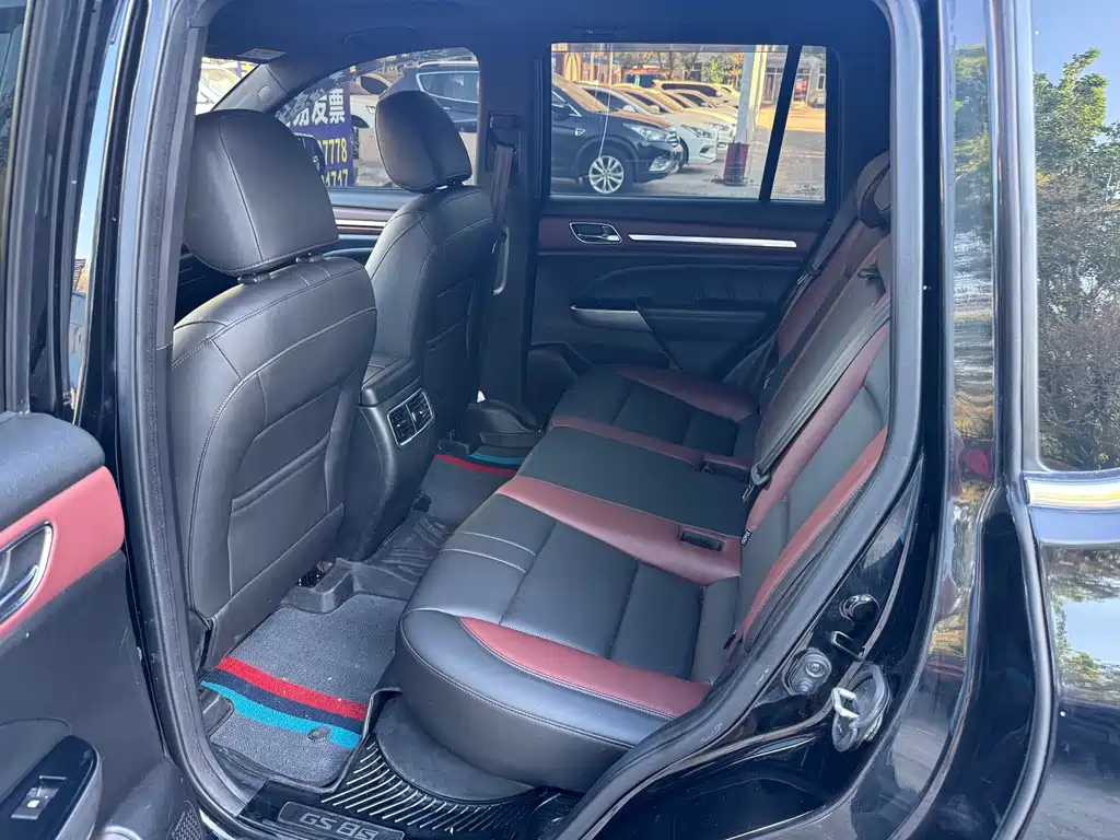 GAC Trumpchi GS8 传祺GS8 2020款 390 T 两驱豪华版（五座）