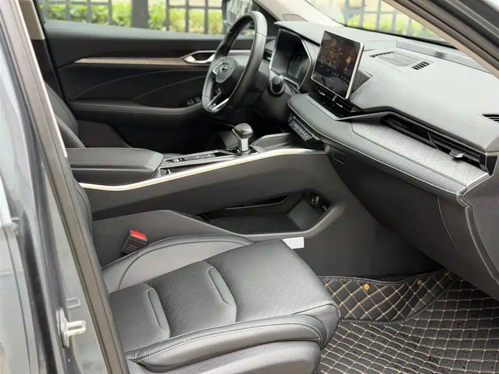 Xingrui 2.0 TD Luxury