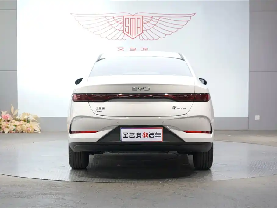 Qin PLUS DM-i Smart Drive 55 KM Leading