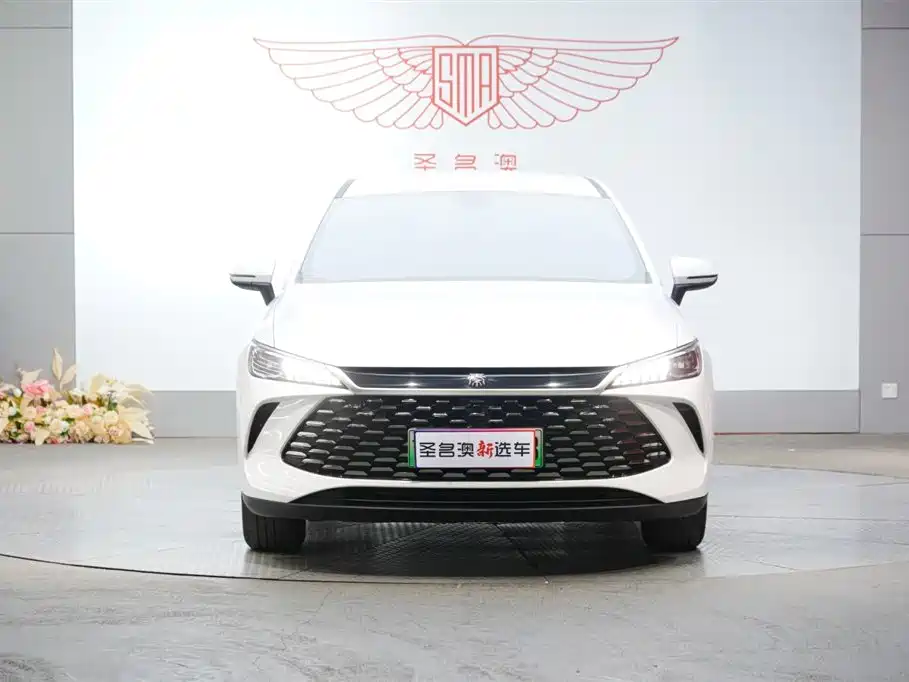 Qin PLUS DM-i Smart Drive 55 KM Leading