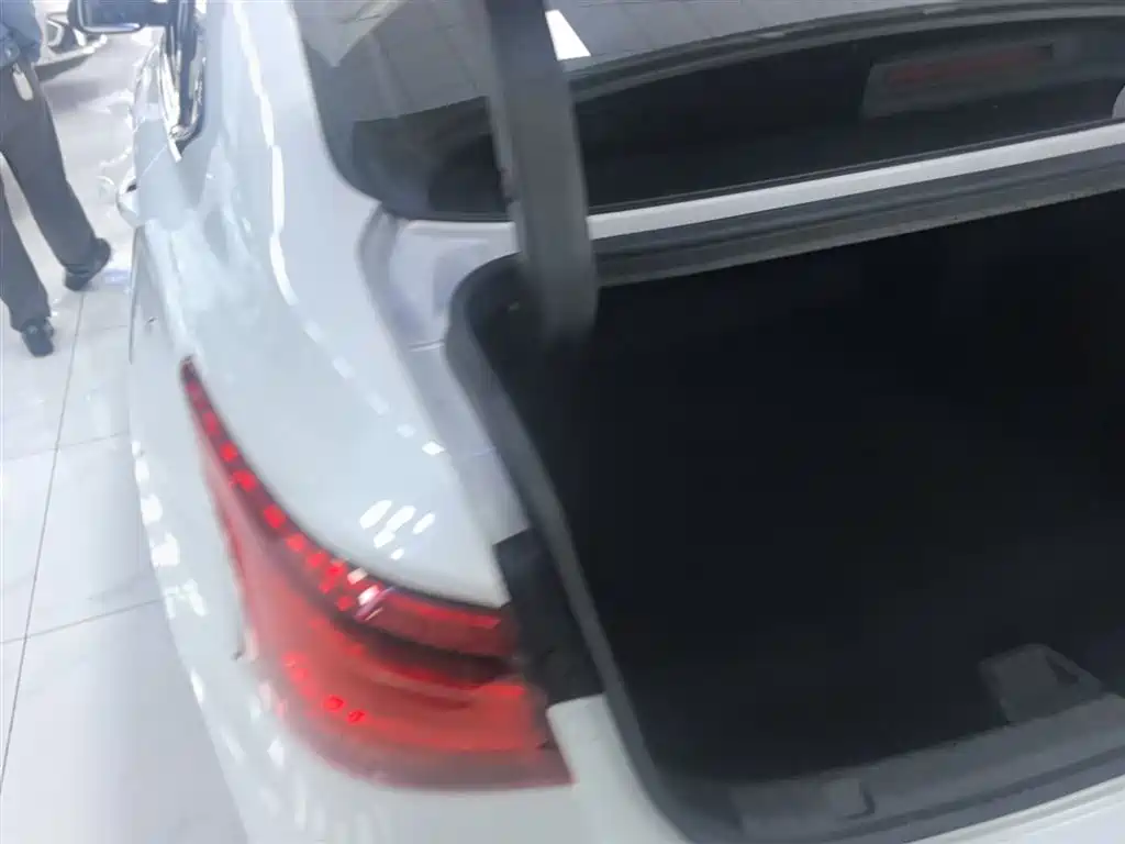 Ruicheng CC Blue Whale 1.5 T DCT Luxury