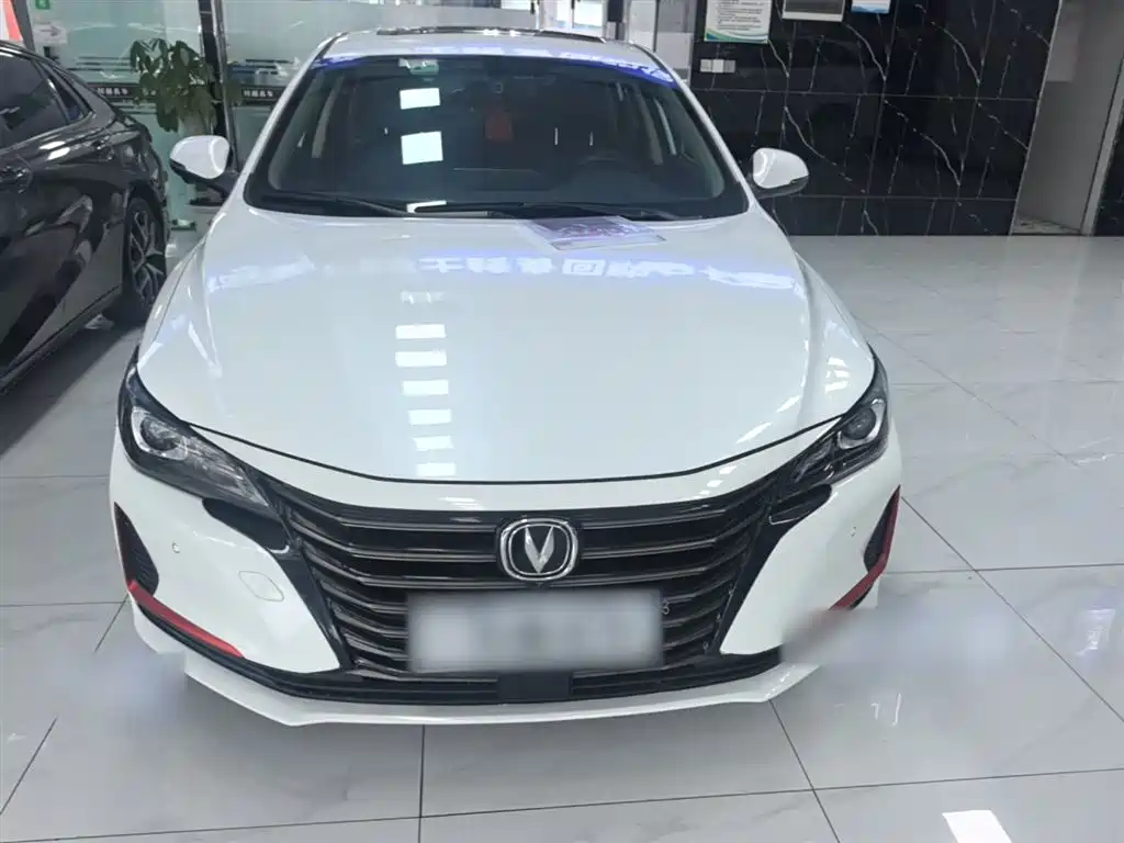 Ruicheng CC Blue Whale 1.5 T DCT Luxury