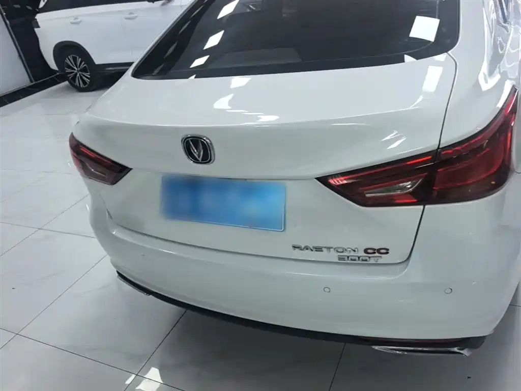 Ruicheng CC Blue Whale 1.5 T DCT Luxury