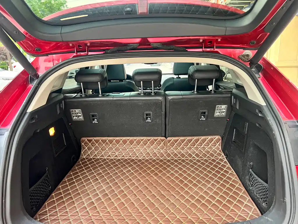 WEY VV5 2.0 T Super Luxury