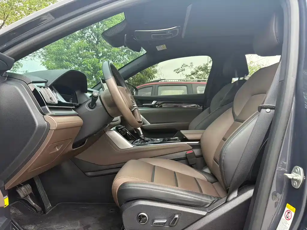Tang 2.0 T Auto Flagship