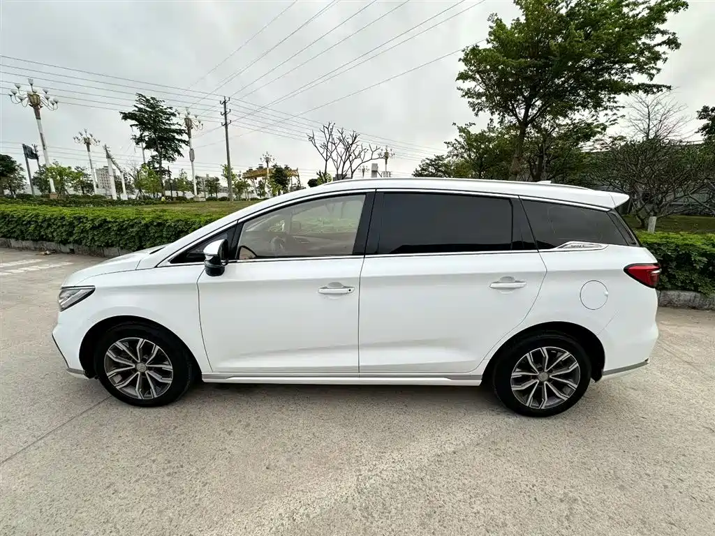 Song MAX Upgraded 1.5 T Auto Luxury 6-seat