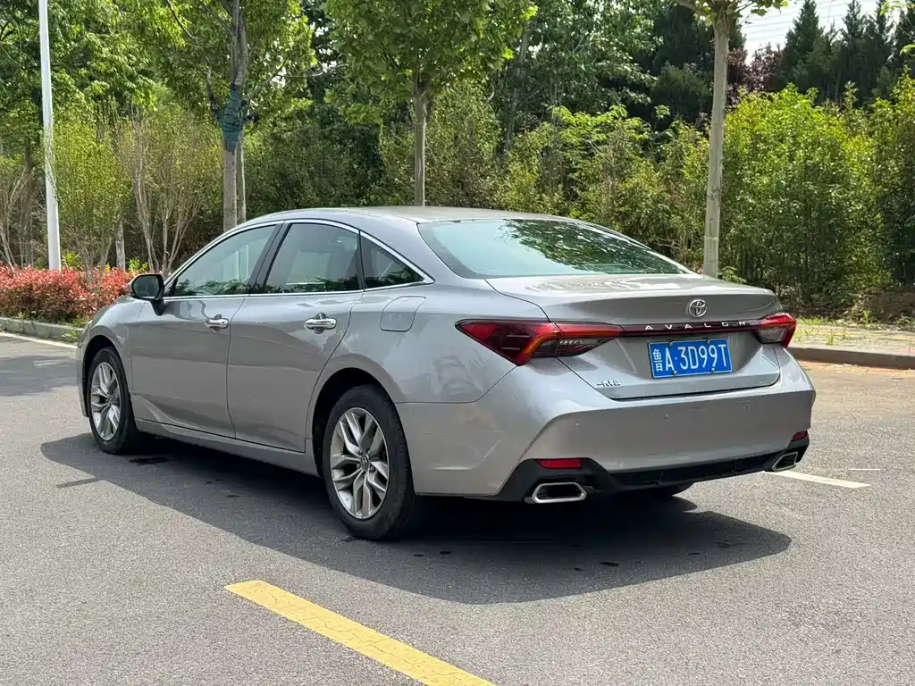 Avalon 2.0 L Luxury CN-VI