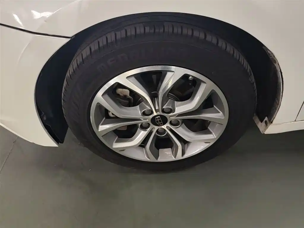 Borui 2.4 L Graceful