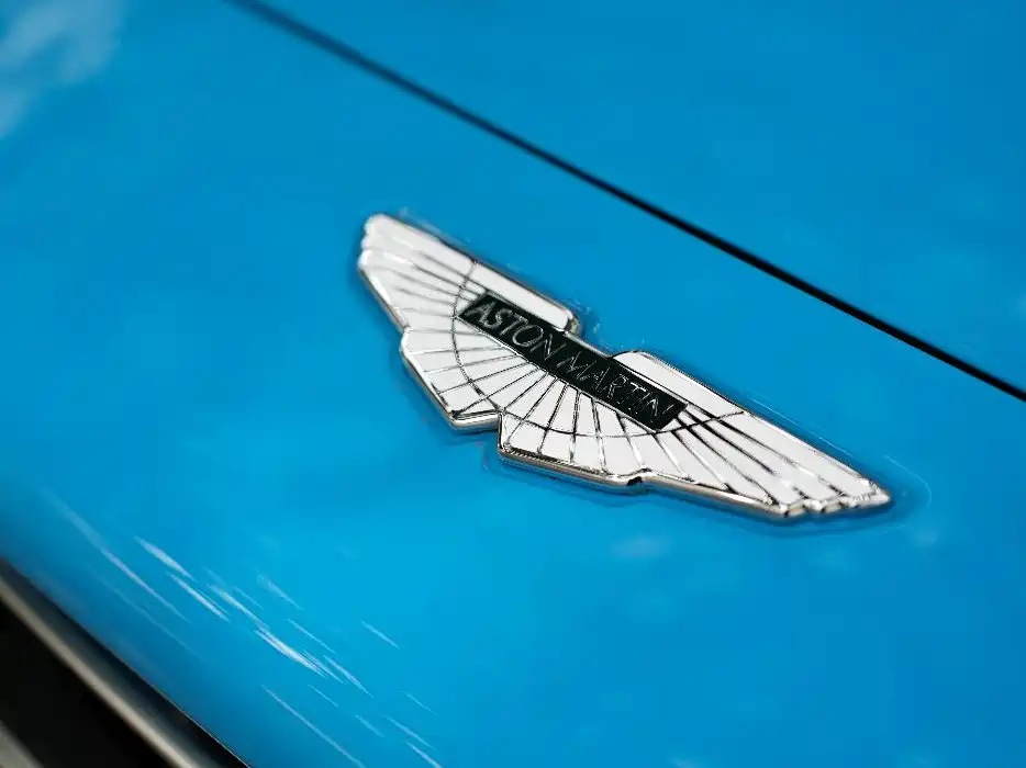 Aston Martin DBX 4.0 T V8 Return to Nature Realm