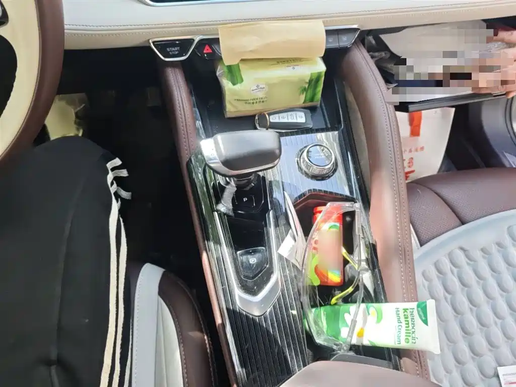 Xingyue L 2.0 TD High Power Auto 4 WD Distinguished