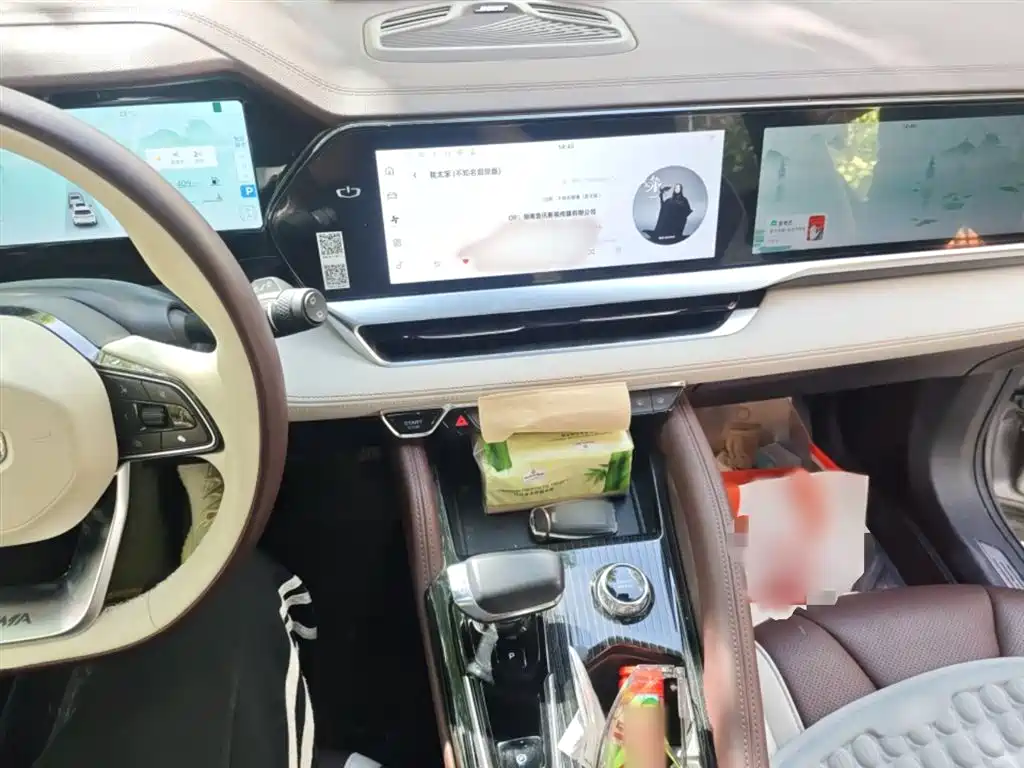 Xingyue L 2.0 TD High Power Auto 4 WD Distinguished