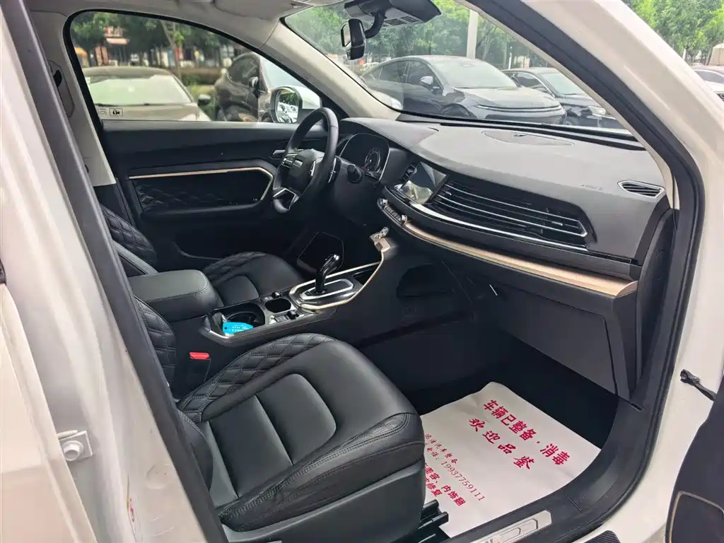 Haval H6 1.5 GDIT Auto Platinum Champion