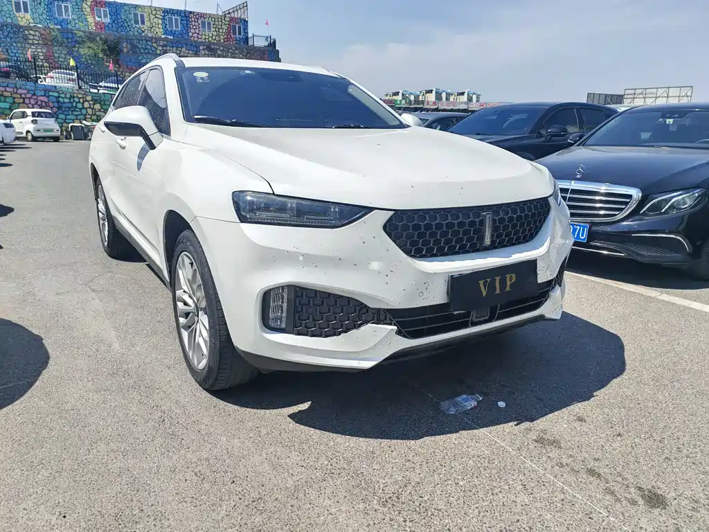 WEY VV7 VV7 c 2.0 T Super Luxury