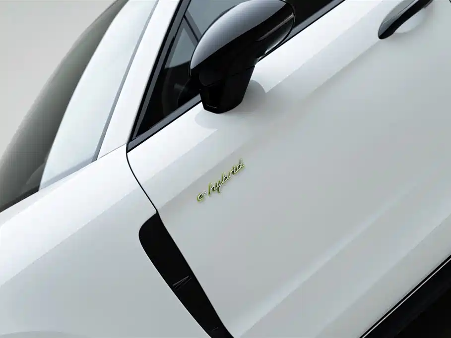 Panamera NEV Panamera新能源 2021款 Panamera 4 S E-Hybrid 行政加长版 2.9 T