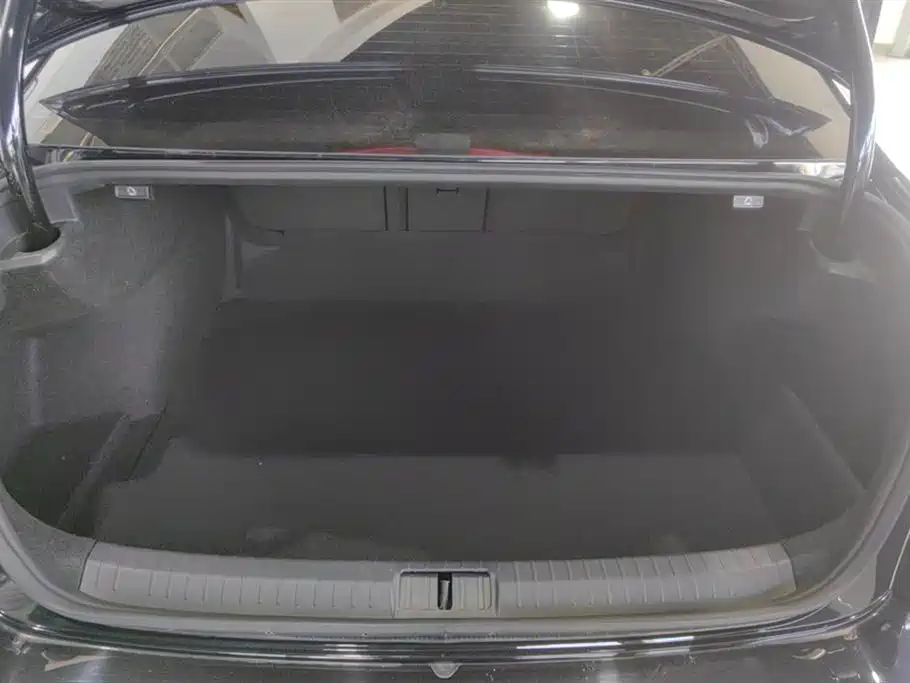 Magotan 330 TSI DSG Leading