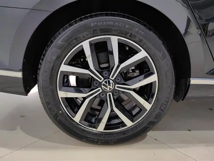 Magotan 330 TSI DSG Leading