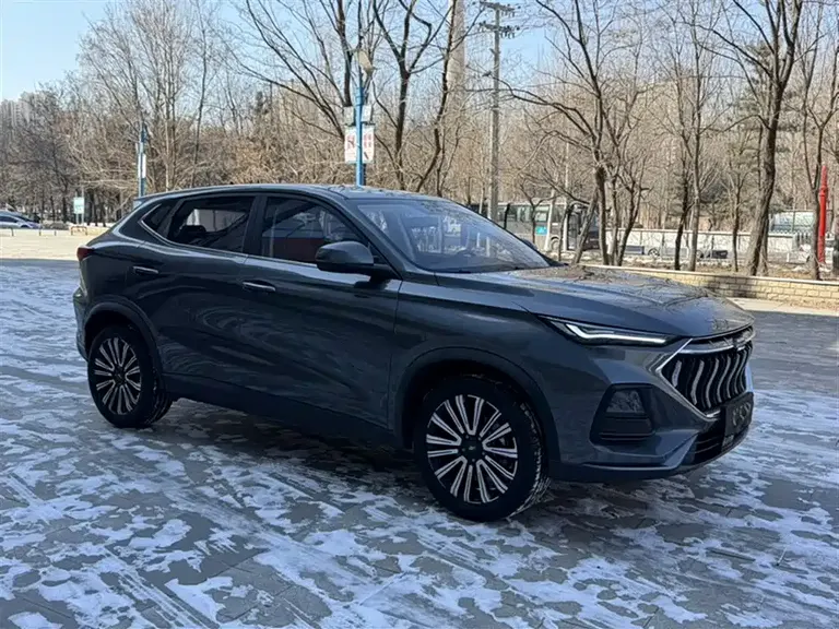 Changan Oshan X5 1.5 T DCT Distinguished
