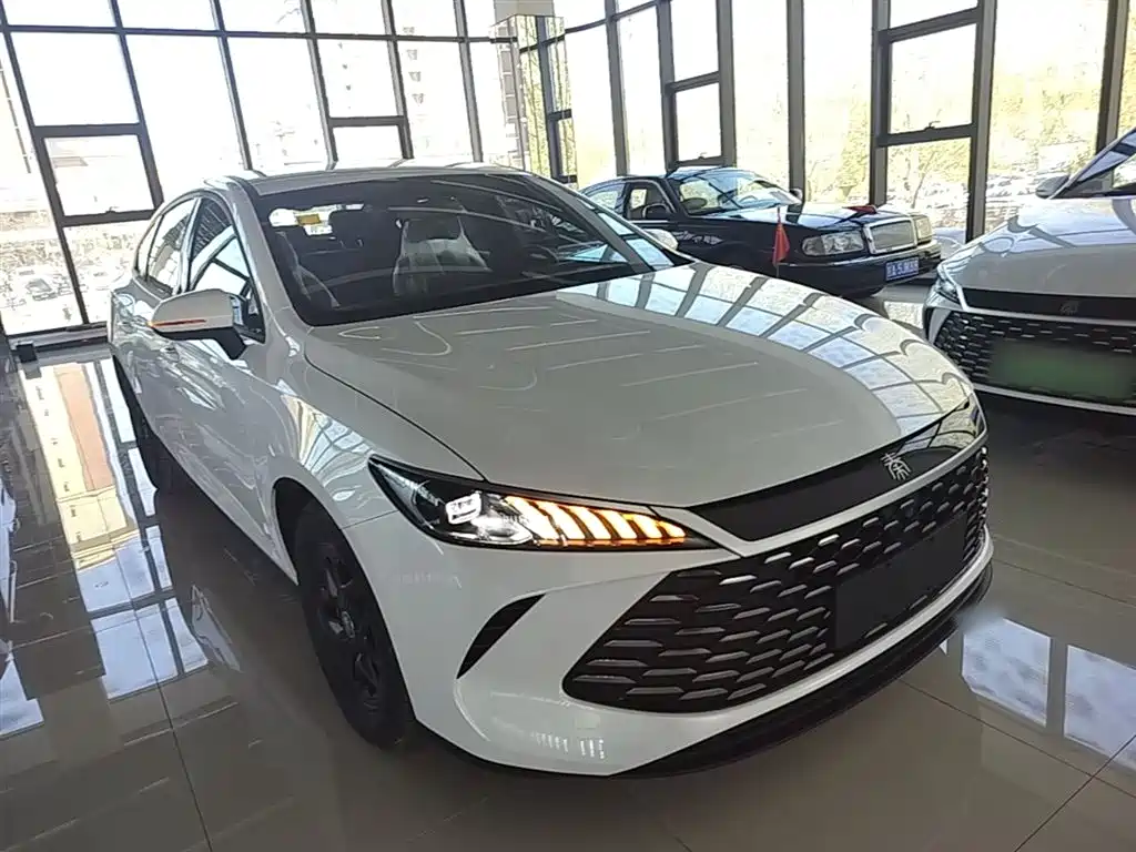 Qin PLUS DM-i Smart Drive 55 KM Leading