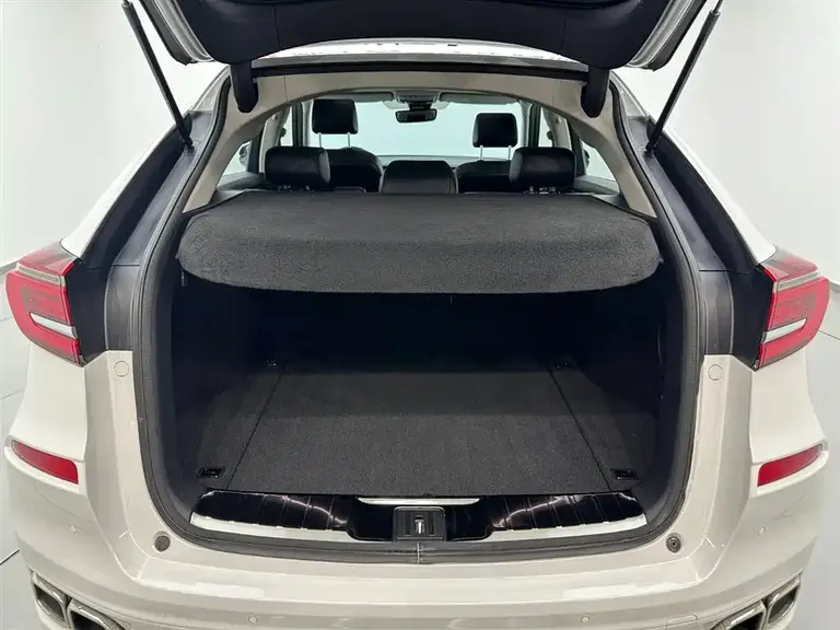 Honda Avancier 370 TURBO 2 WD Luxury