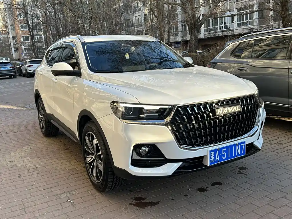 Haval H6 China Style 1.5 T Auto Champion