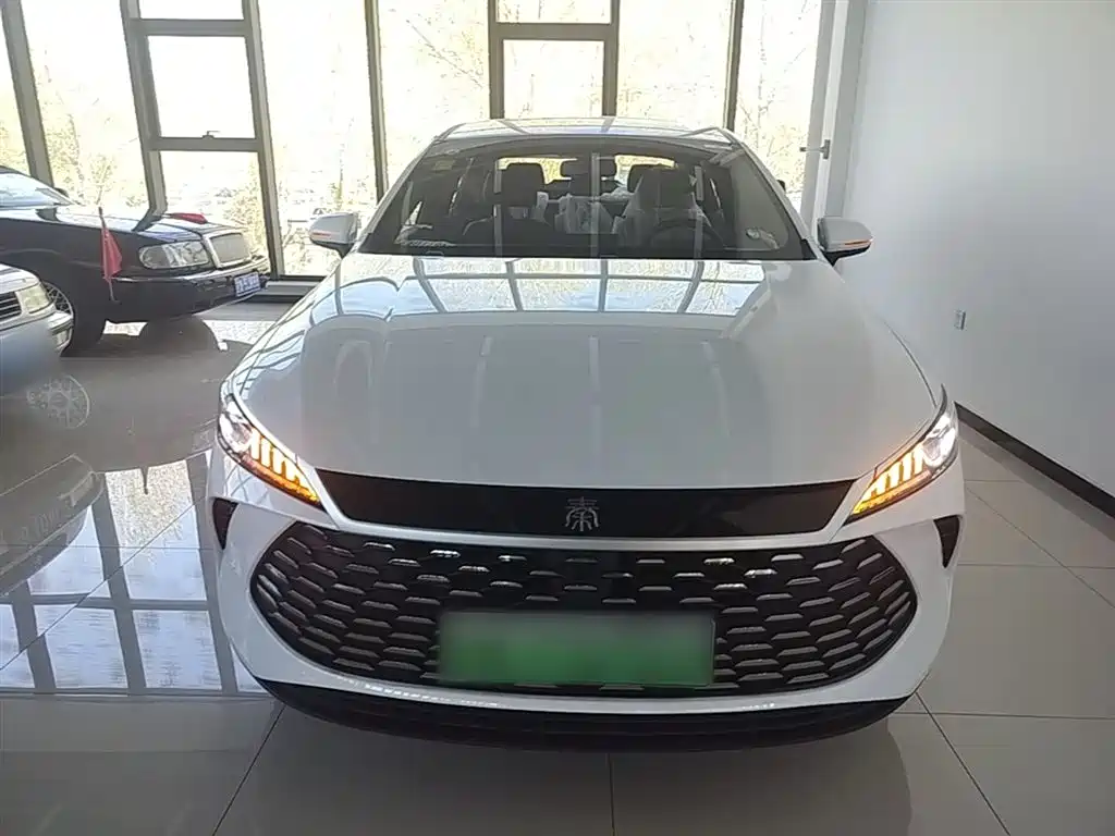 Qin PLUS DM-i Smart Drive 55 KM Leading