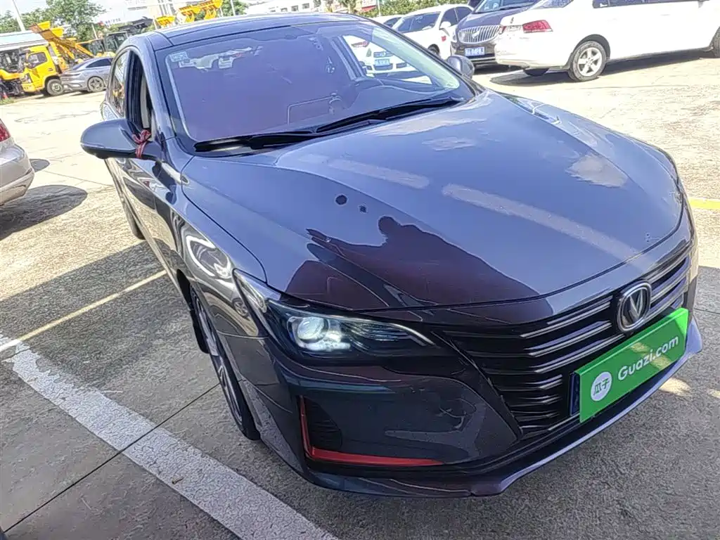 Ruicheng CC Blue Whale 1.5 T DCT Distinguished