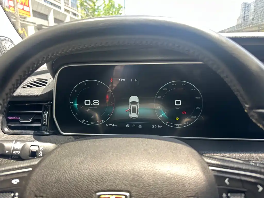 Hongqi HS5 2.0 T Connected Flagship Joy