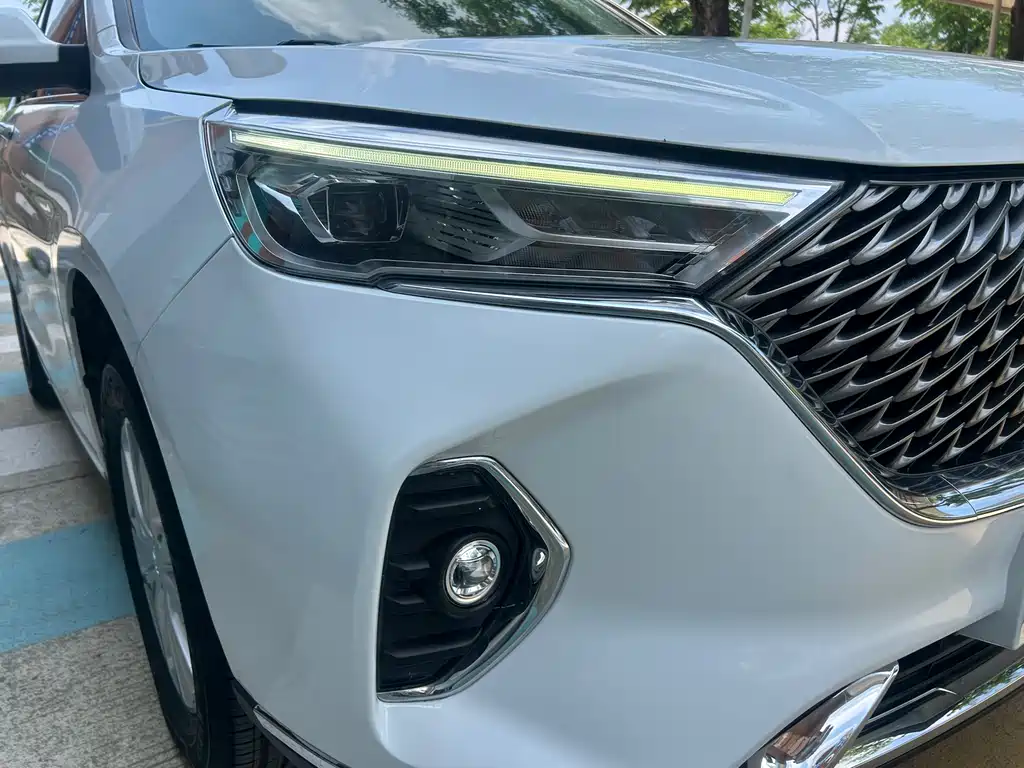 Haval M6 哈弗M6 2024款 PLUS 1.5 T DCT花生好车定制版