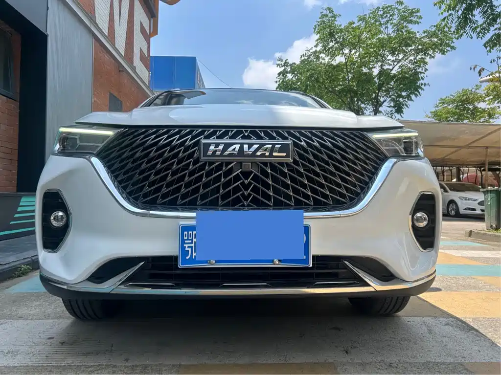 Haval M6 哈弗M6 2024款 PLUS 1.5 T DCT花生好车定制版