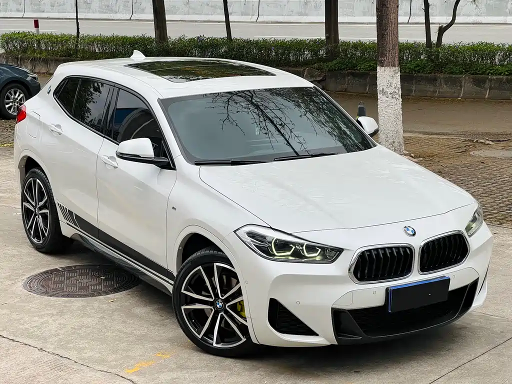 BMW X2 sDrive25 i Premium M Sport Package