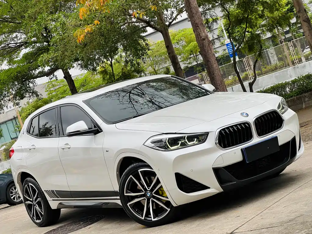 BMW X2 sDrive25 i Premium M Sport Package
