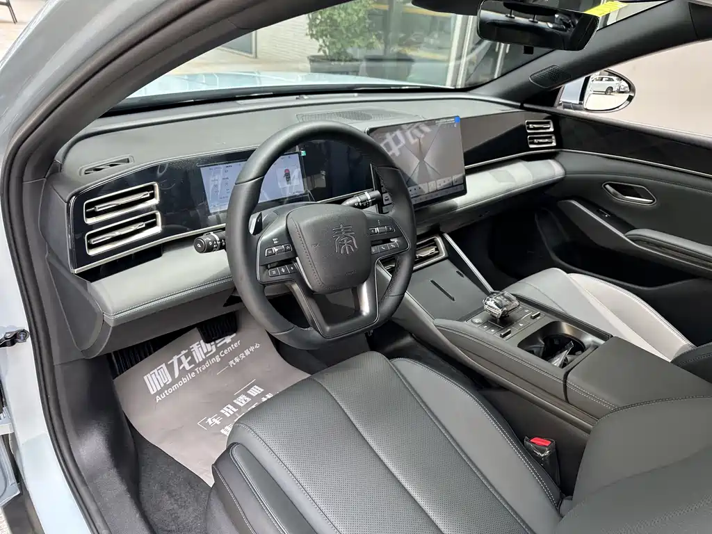 Qin L DM-i Smart Drive 80 KM Leading
