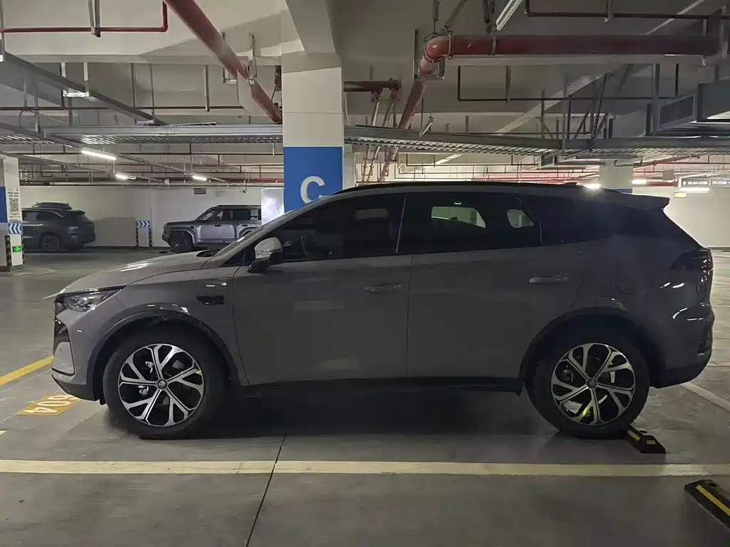 Tang NEV Smart Drive DM-i 115 KM Flagship