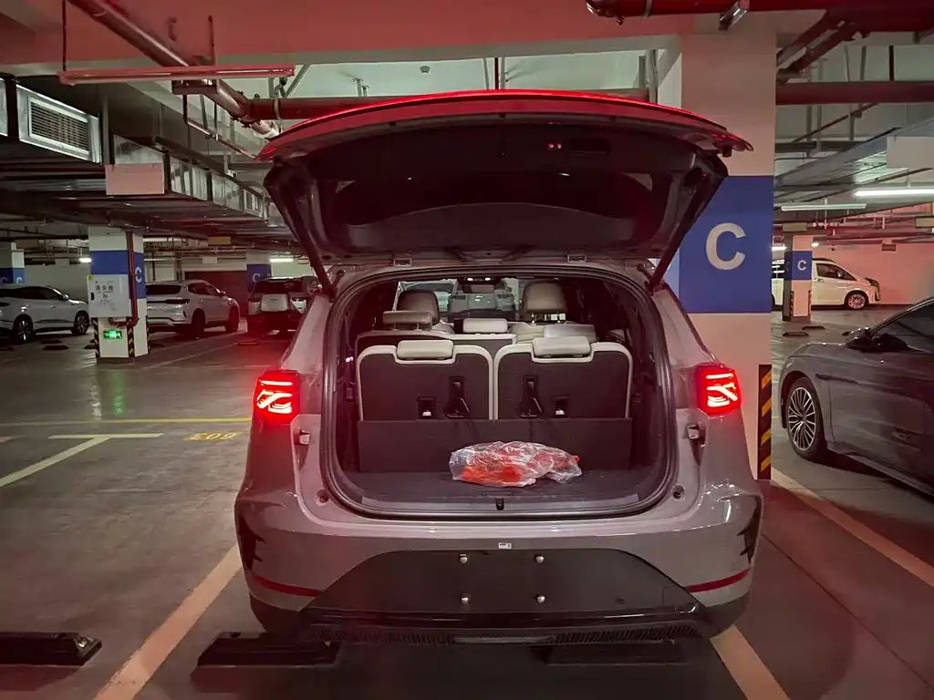 Tang NEV Smart Drive DM-i 115 KM Flagship
