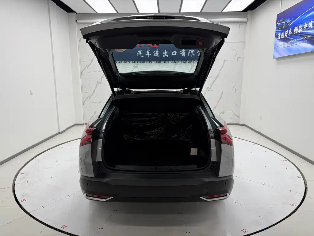 C5 X 1.6 T Extraordinary Force