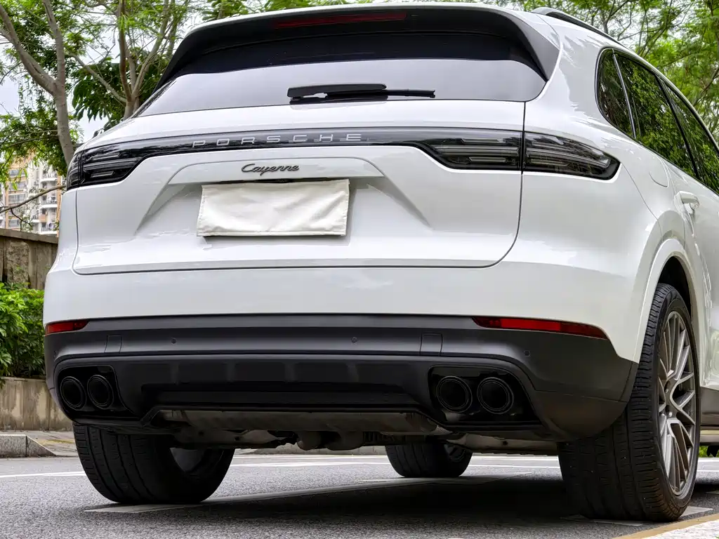 Cayenne Cayenne 3.0 T Platinum