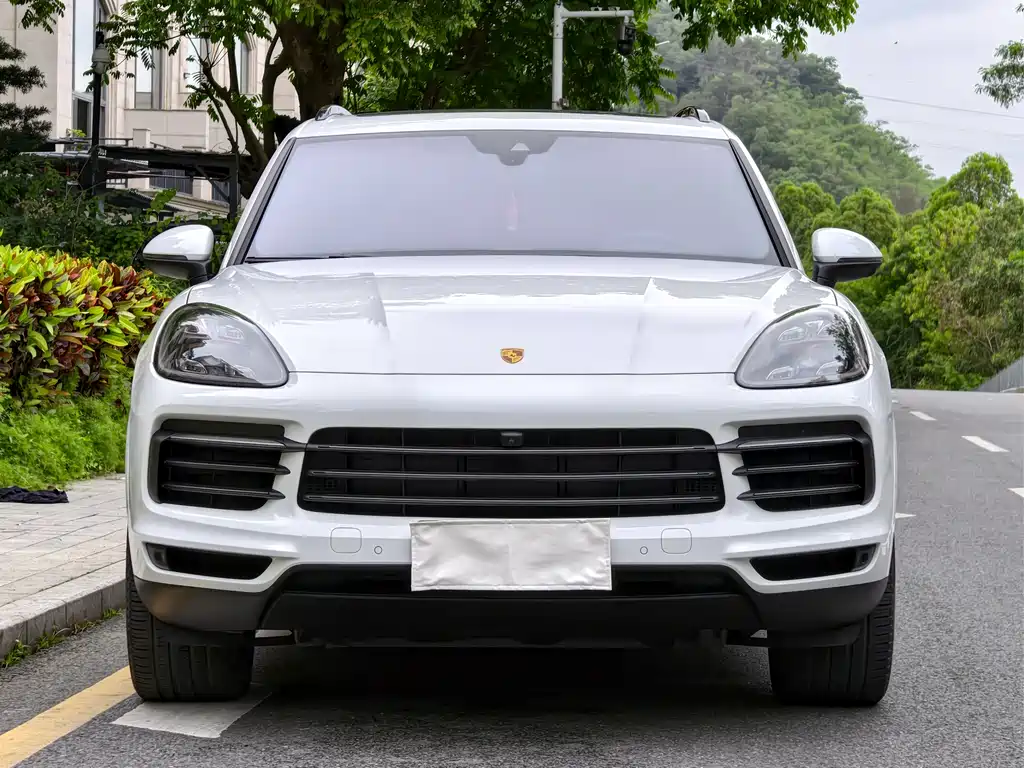 Cayenne Cayenne 3.0 T Platinum
