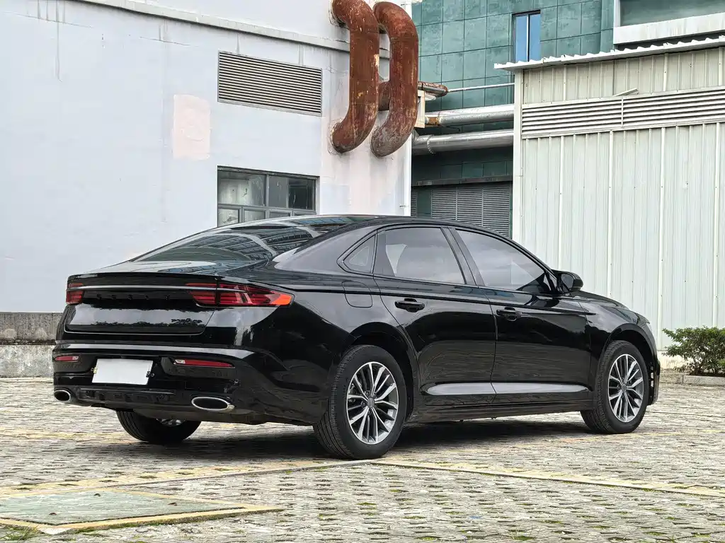 Xingrui 2.0 TD Luxury