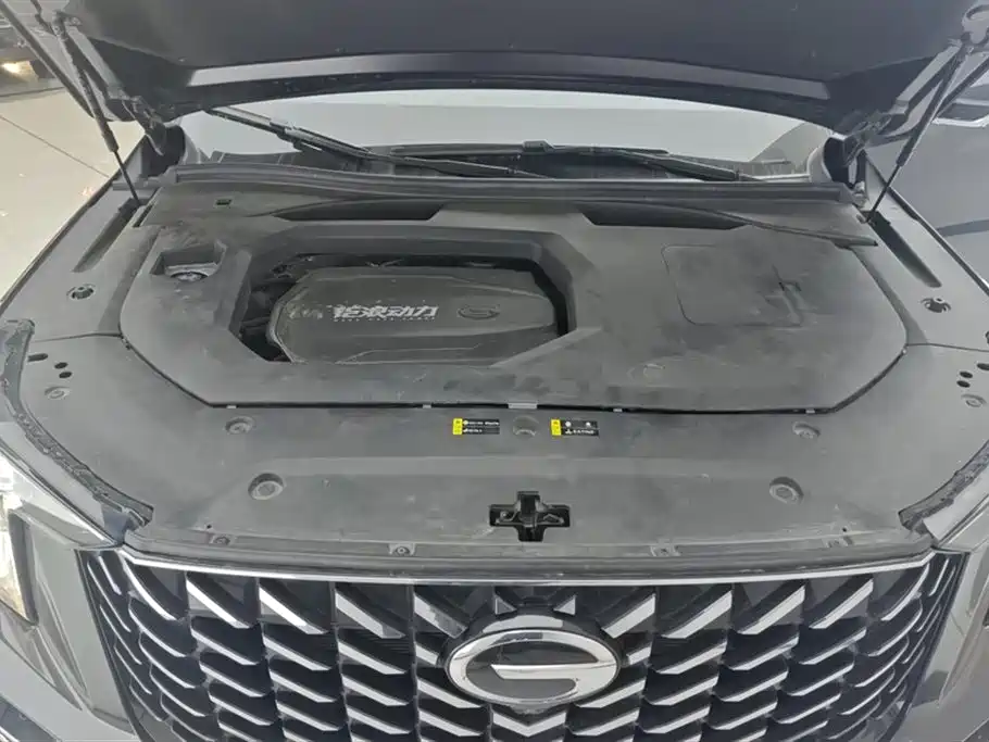 GAC Trumpchi GS8 Navigator Series 2.0 TGDI 2 WD Distinguished (7-seat)