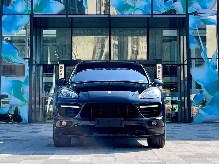Porsche Cayenne Cayenne Platinum Edition 3.0 T