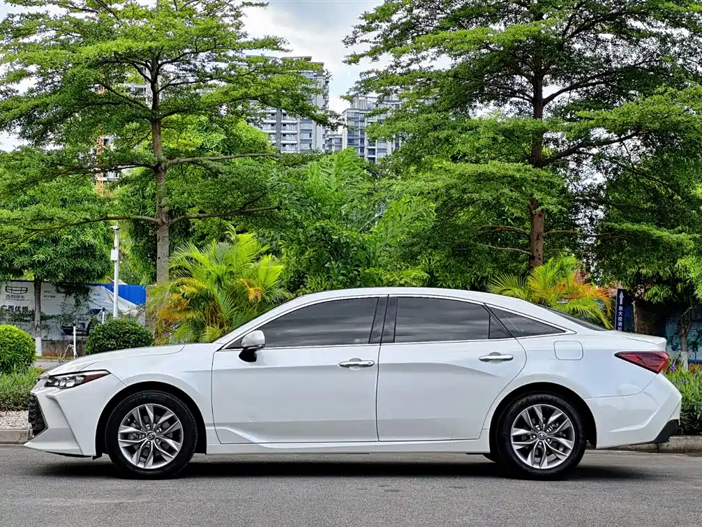 Avalon 2.0 L Luxury CN-VI