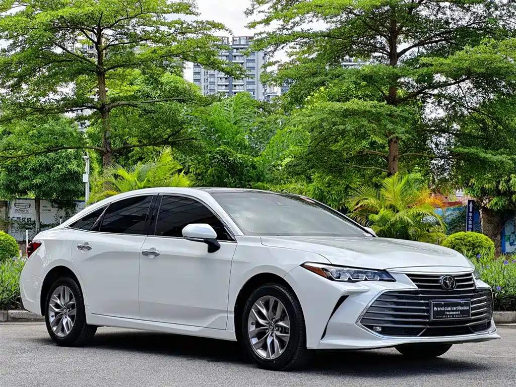 Avalon 2.0 L Luxury CN-VI