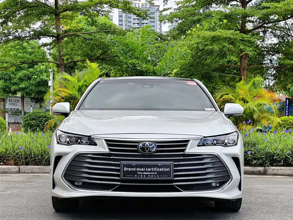 Avalon 2.0 L Luxury CN-VI